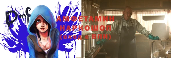 гидропоника Бородино