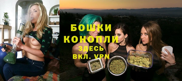 стаф Бугульма